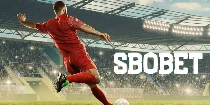 Tổng quan về sảnh SBO Thể Thao tại OK9